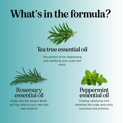 Maple Holistics rosemary tea tree mint shampoo deep cleans without harsh sulfates.