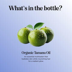 Maple Holistics Tamanu Oil bottle label showcasing organic non-GMO promise