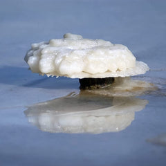 MARCO ESRA spa-like ritual with salts dissolving in warm water