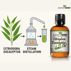 Mayan's Secret Citriodora Eucalyptus skin care application in routine.