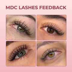 MDC Lashes Promade Fans ready for professional volume looks