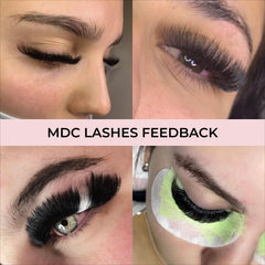 Soft PBT promade fans from MDC Lashes for a supple dark lash line.