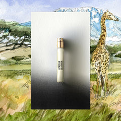 Memo Paris African Leather cap close-up highlights premium packaging.