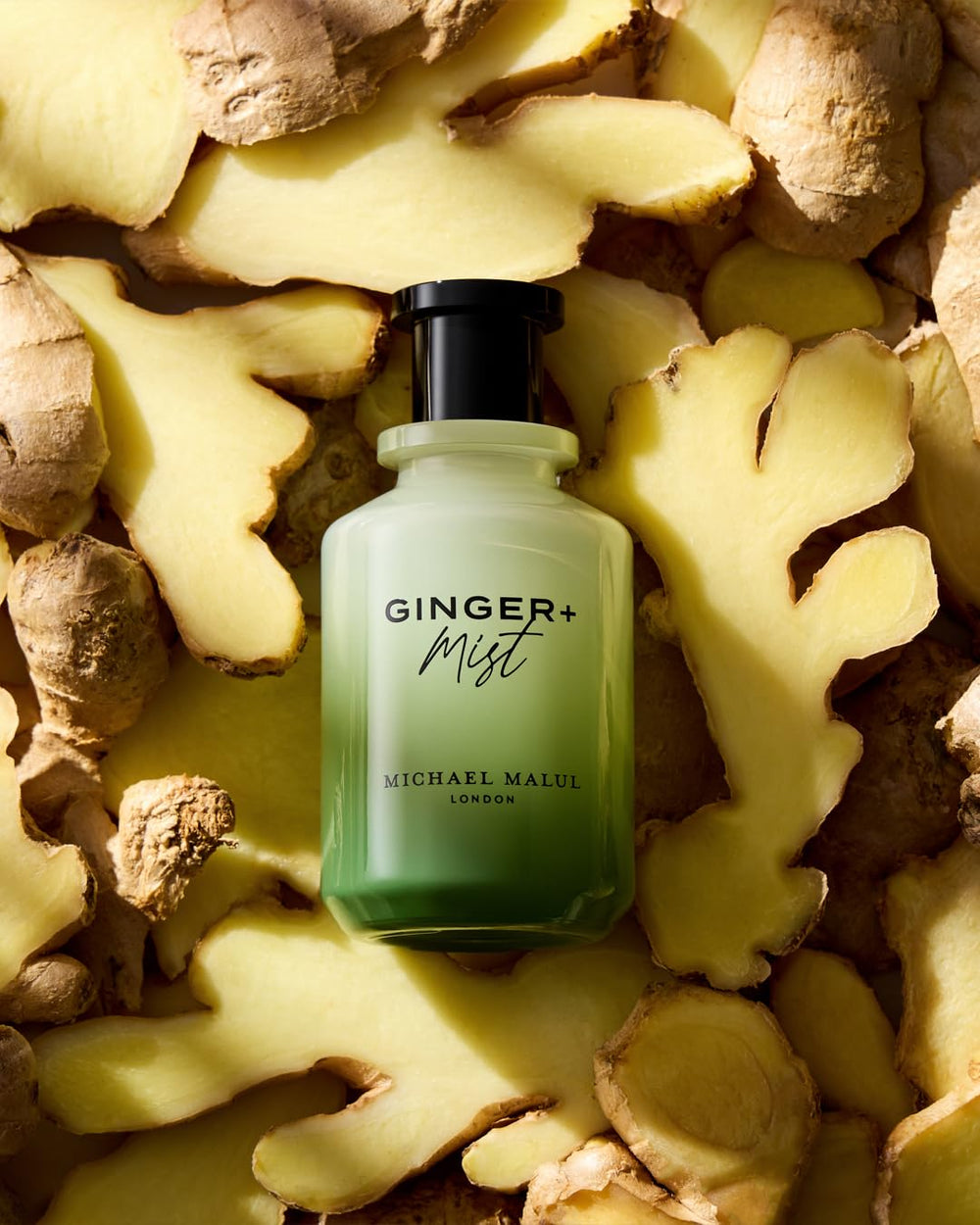 Michael Malul Ginger + Mist wear occasions—great for evenings and casual outings.