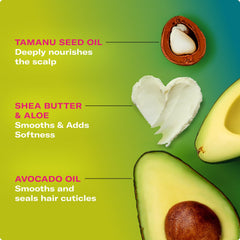 Mielle Avocado & Tamanu anti-frizz cream for defined curls in textured hair.