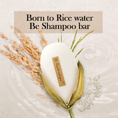 mimosu 2-pack ideal for long-term use or gifting