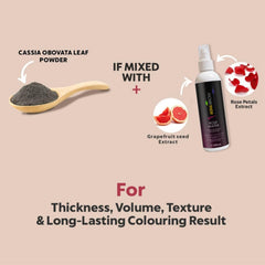 MinaiBrow easy application steps for at-home use.