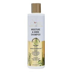 Miracle Elixir Joyce Giraud shampoo bottle showing deep hydration and shine