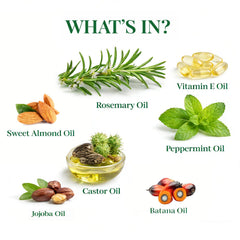 MMPANG Rosemary Oil applicator tip ready for precise scalp care.