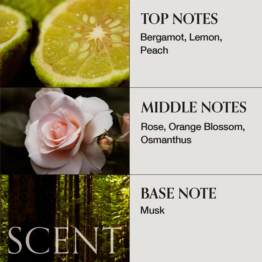 Packaging close-up showcasing MONCLOS clean beauty ethos and sustainable design.