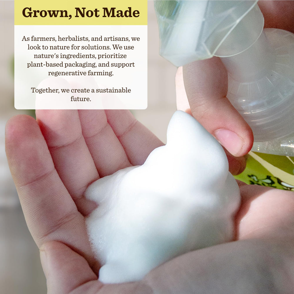 Moon Valley Organics ingredients list highlights vegan, non-GMO, gluten-free formula