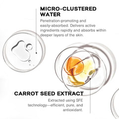 MORITEK carrot seed extract highlight indicating antioxidant support for firmness