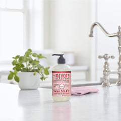 Kitchen sink scene with peppermint hand soap ready for use