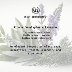 Muse Apothecary Hand Ritual gift-pack ready conveys thoughtful self-care or present ideas.