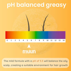 Muun Ginger shampoo bar Pack 3 creamy lather demonstrated on hair.