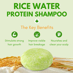 Muun Rice Water ingredients infographic highlighting amino acids and antioxidants.
