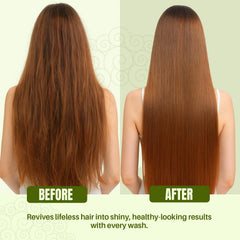 MYSTÉRE BEAUTÉ Rosemary with argan oil for frizz control and softness