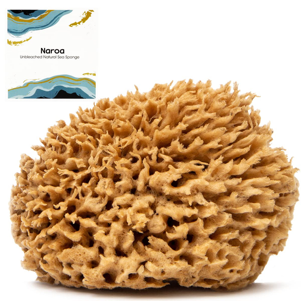 Naroa Soft Natural Sponge X Large in use for gentle cleansing
