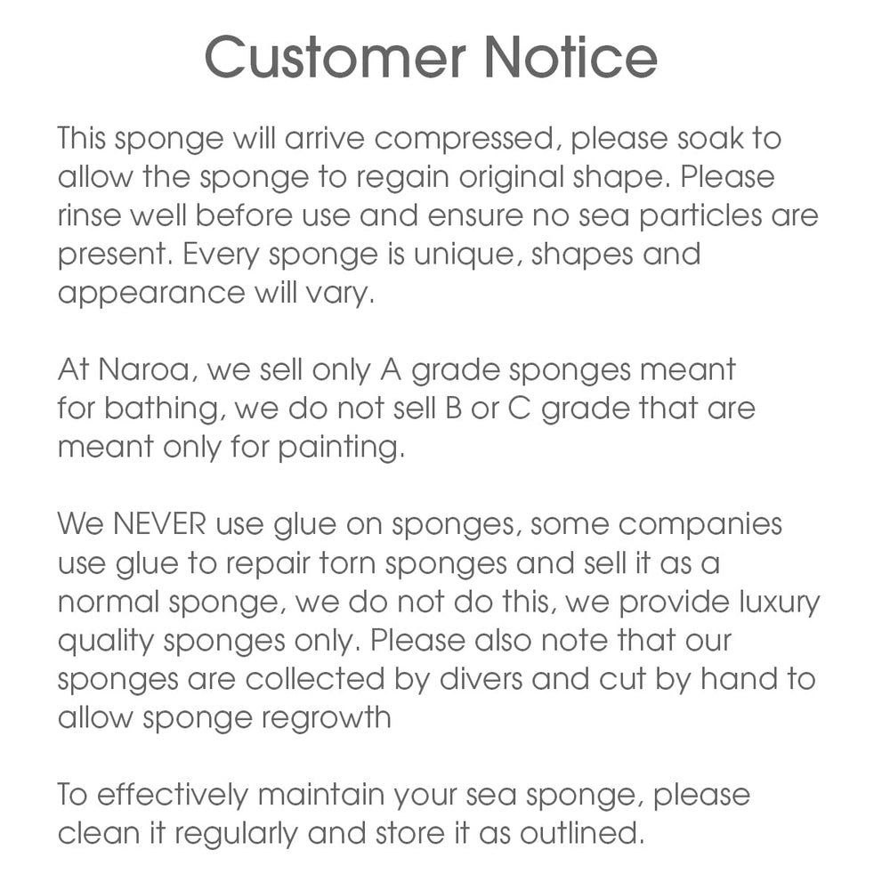 Naroa Soft Natural Sponge X Large ready for daily skincare