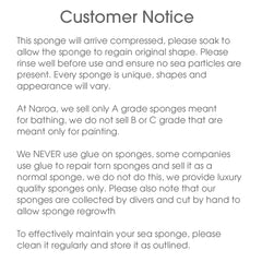 Naroa Soft Natural Sponge X Large ready for daily skincare