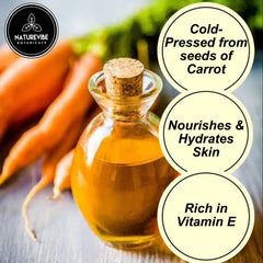 Air tight jar storage cap guides cool dry storage for Naturevibe Botanicals Carrot Oil