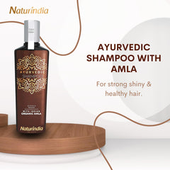 Naturindia Amla shampoo ingredients panel highlights organic amla and B-complex.