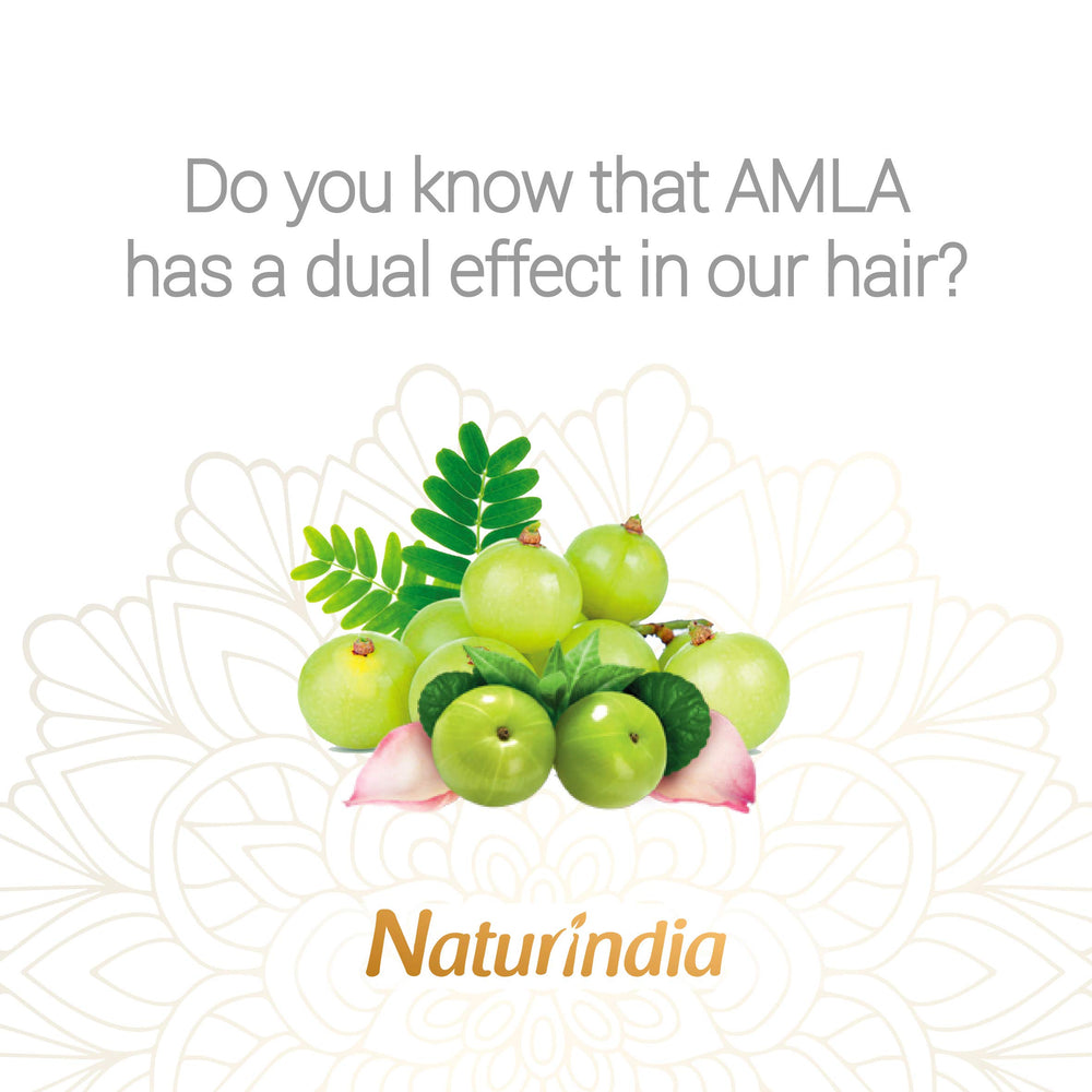 Naturindia Amla bottle with leaves emphasizes organic herbal origins.