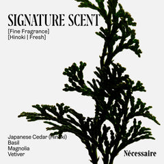 Hinoki scent notes with basil, magnolia, vetiver for a fresh daily aroma