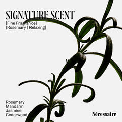 Nécessaire Rosemary Conditioner fragrance notes of rosemary and mandarin
