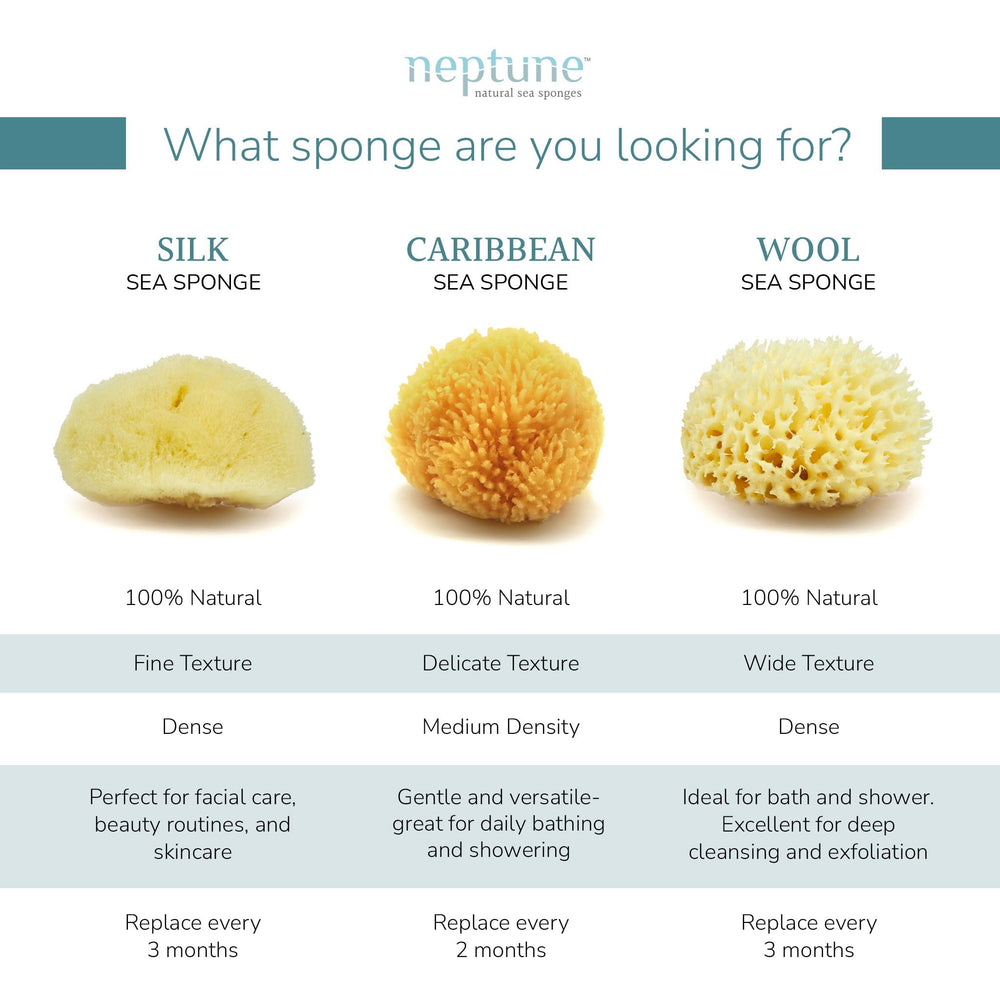 Neptune Caribbean Sea Sponge offers a soft delicate texture gentle on skin
