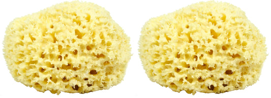 Neptune Natural Sea Wool Sponge, hand-cut 7-inch pack 2 for gentle daily cleansing.