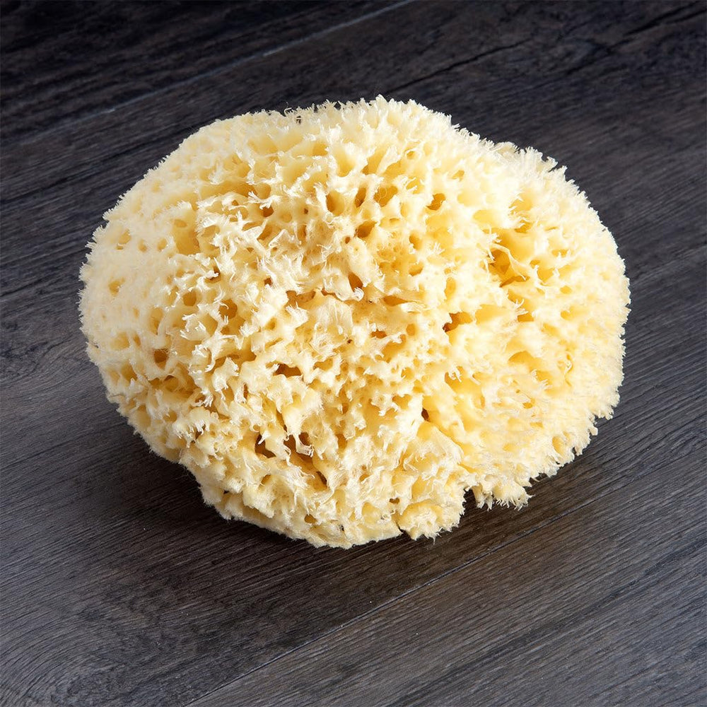 Neptune Natural Sea Wool Sponge honeycomb texture close-up showing natural pores for soft lather.