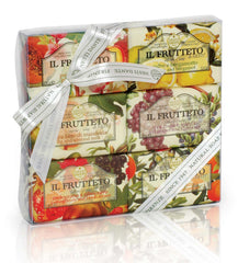 Nesti Dante Frutteto Gift Set displayed box, a refined gift idea for fragrance lovers.