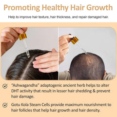 Nirvana Nurture Gotu Kola close-up emphasizes phytonutrients nourishing scalp.