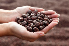 Pure-ingredient emphasis image illustrating fragrance-free formula