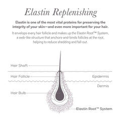 NULASTIN application tips guide to optimize routine.