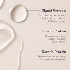 NULASTIN brows full-looking illustration suggesting thicker, shapely arches.