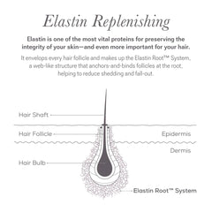 NULASTIN five active ingredients graphic, signaling synergistic care for the growth cycle.
