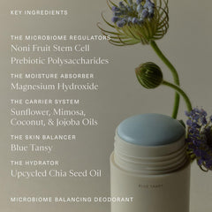 Oak Essentials long-lasting odor protection graphic underlines lasting freshness