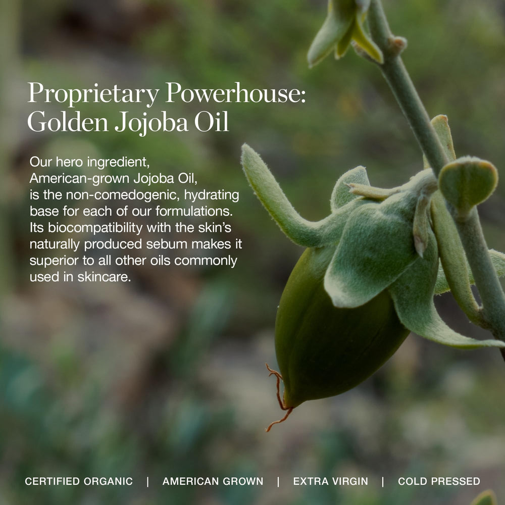 Ogee concealer packaging close-up with Organic, Cruelty-Free, USA-made badges.