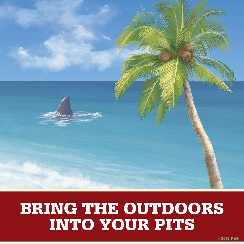 Old Spice Fiji Palm Tree everyday-use closeup suggests smooth application and confidence boost.
