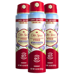 Old Spice Wilderness dry spray underarm image showing potential all-day freshness