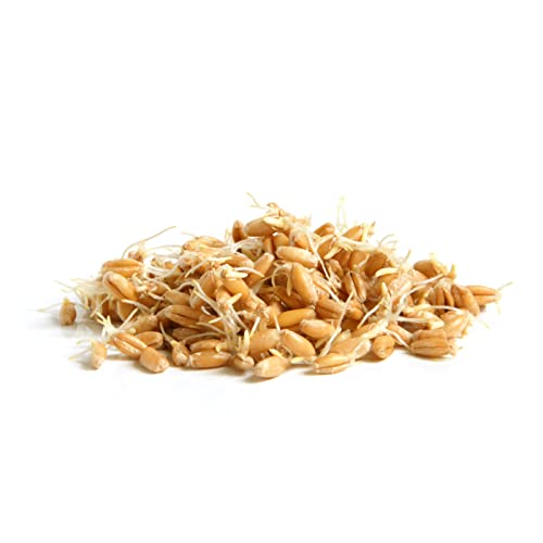Wheat germ origin label highlights natural, soy-free Vitamin E source.