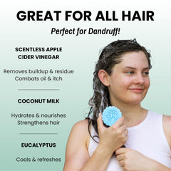 Otter Co conditioner bar displays tea tree, apple cider vinegar ingredients for gentle cleansing.