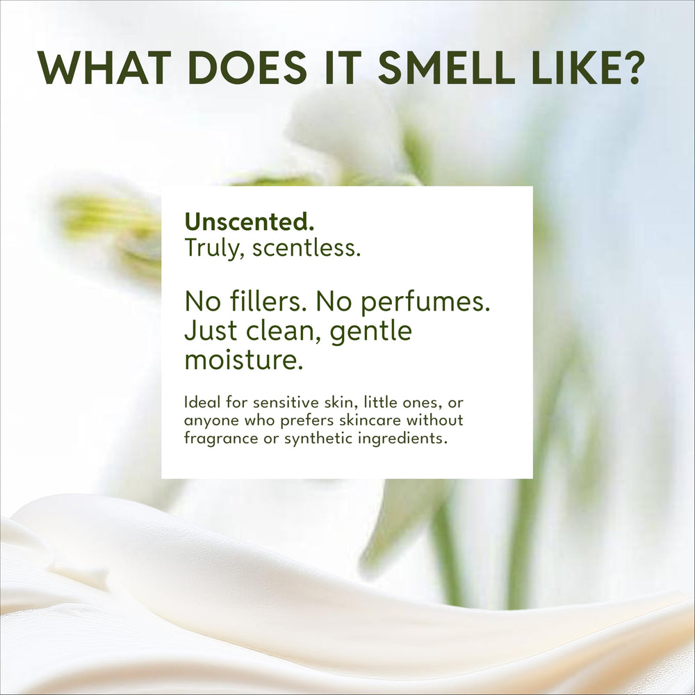 Ingredients like jojoba and shea provide balanced hydration for Our Earth Beauty cream