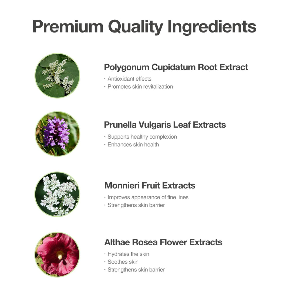 OxygenCeuticals Acell-300 Fluid ingredients cnidium extract for barrier support.