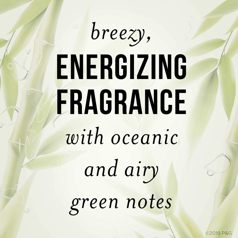 Fragrance note and refreshing scent image for Pantene Bamboo Shampoo
