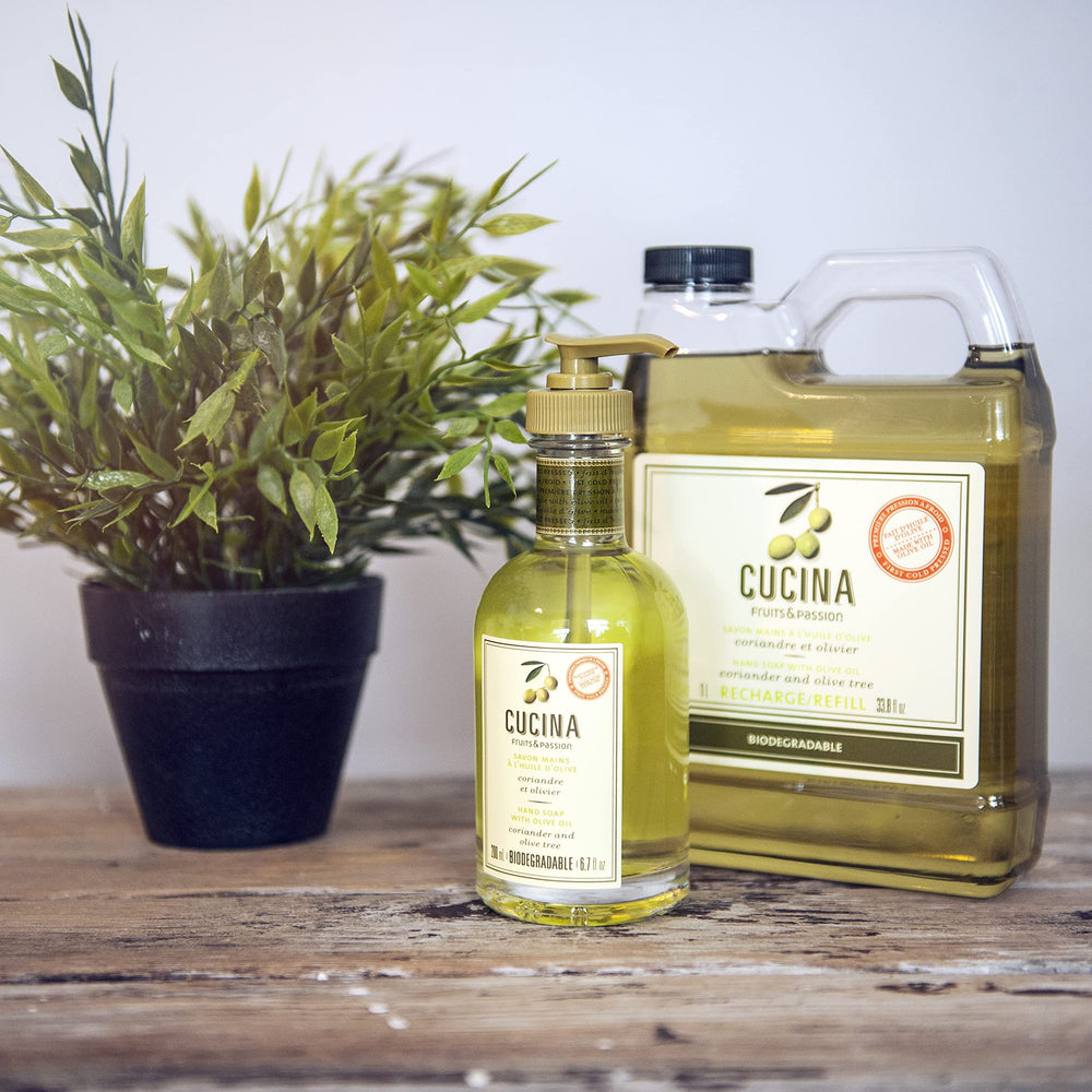 PANZERR Cucina coriander seeds aroma complements cooking and cleaning moments