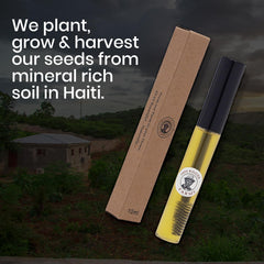 Papa Rozier Farms botanical ingredients illustration suggesting plant-based conditioning