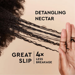PATTERN Detangling Nectar sea moss formula signals natural hydration